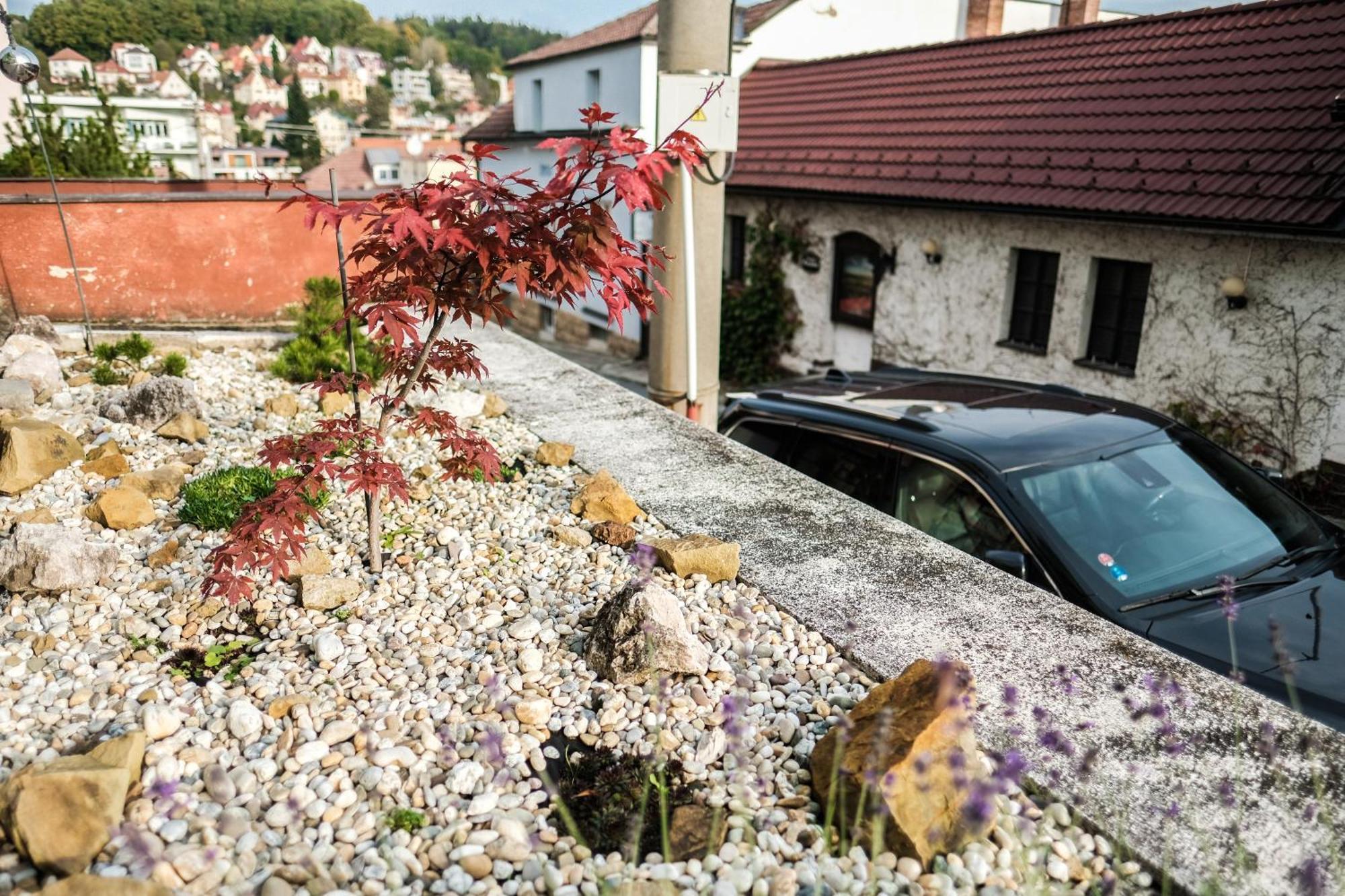 Alice Apartment Luhacovice